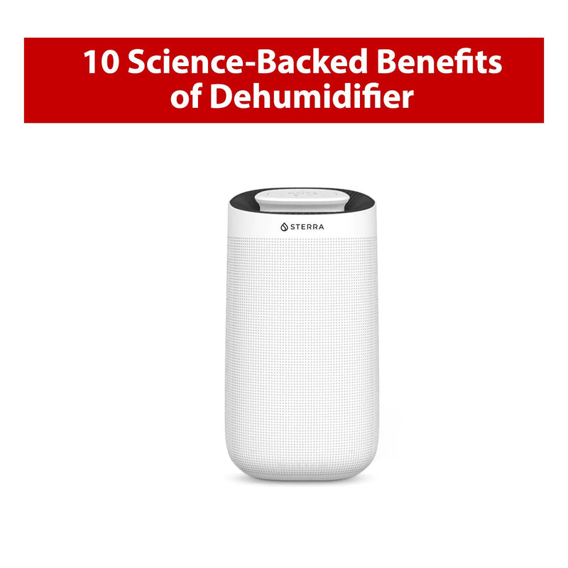 10 Science-Backed Benefits of Dehumidifiers - Sterra