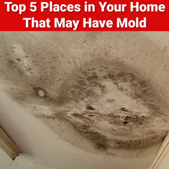 Top 5 Places in Your Home That May Have Mold