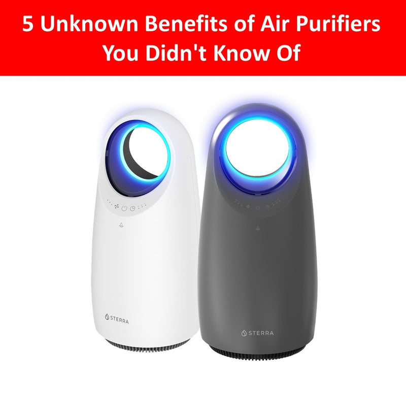 5 Unknown Benefits of Air Purifiers You Didn't Know Of - Sterra