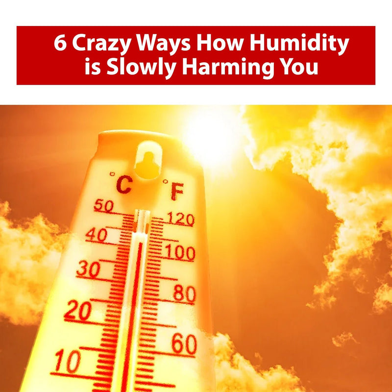 6 Crazy Ways How Humid is Slowly Harming You - Sterra