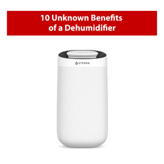Top 10 Unknown Benefits of Dehumidifier in Singapore's Humid Climate