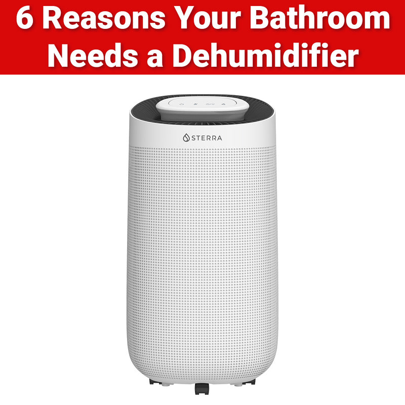 Top 6 Reasons Why Your Bathroom Needs a Dehumidifier