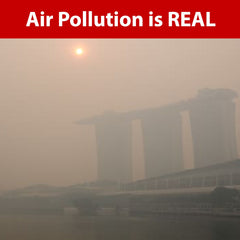 Air Pollution is Real and it kills 7 million lives a year - Sterra