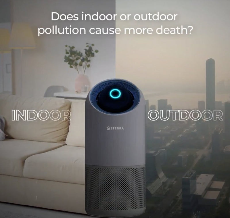 Does Indoor or Outdoor Pollution Cause more Deaths? - Sterra