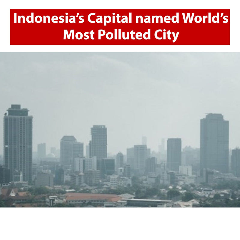 Indonesia's capital named world's most polluted city - Sterra