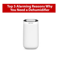 Top 5 Alarming Reasons Why You Need a Dehumidifier - Sterra