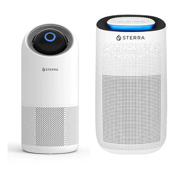 Top 5 Reasons Why You Need an Air Purifier - Sterra