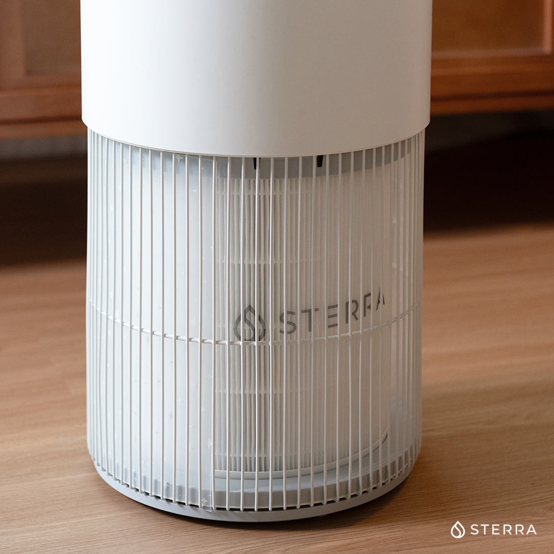Buy 1 Get 2 FREE Bundle Offer - Sterra 8™ Tankless Water Purifier + 2 FREE Sterra Breeze Pro™ Air Purifiers
