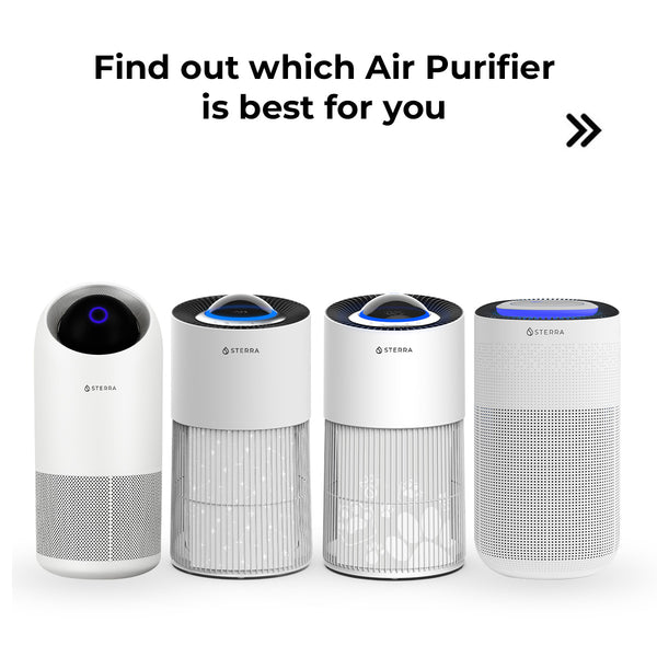 Which Air Purifier is For You?