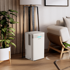 Sterra Ray™ Dehumidifier