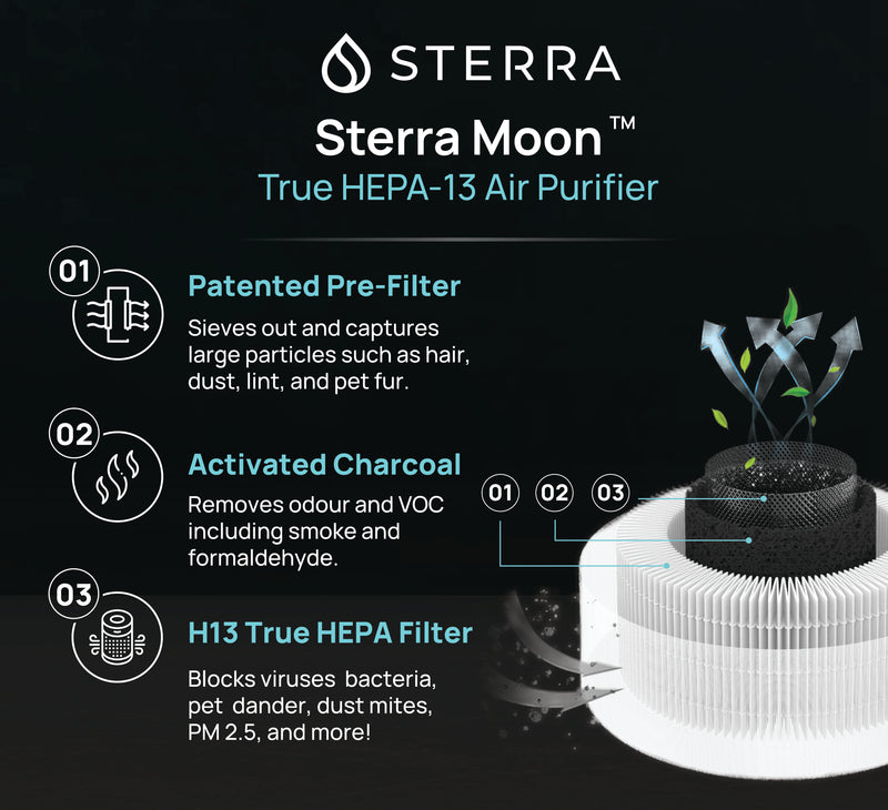 DEMO FILTER MOON