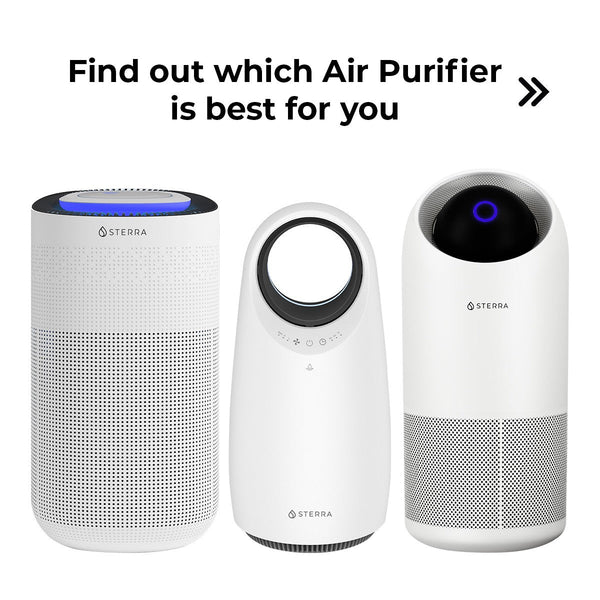 Which Air Purifier is For You?