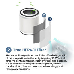 Sterra Nova™ True HEPA-11 Filter (2-in-1) - Sterra